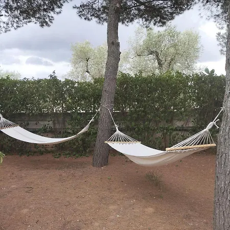 Casetta Tra Gli Ulivi *